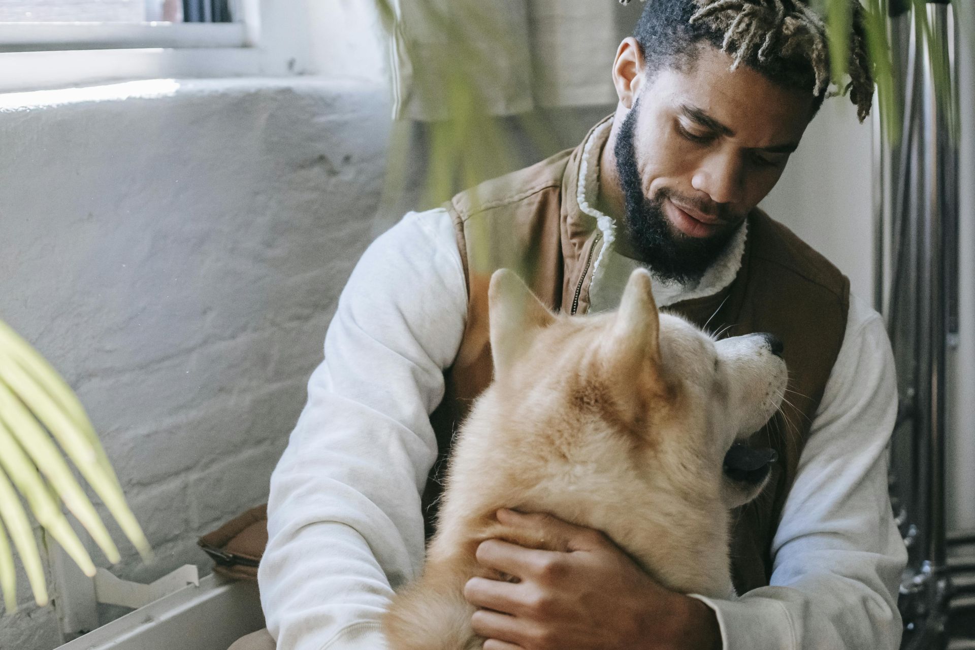 Trendy young bearded black man with Afro hairstyle sitting on haunches near window and hugging cute fluffy Akita dog